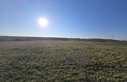 Teren de vânzare Beliș - 149885TV | BLITZ Cluj-Napoca | Poza5