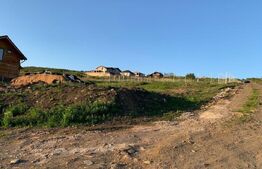 Teren extravilan 952 mp, in zona strazii Oasului-Pomet