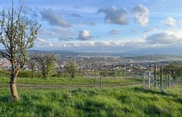 Teren extravilan, 1354 mp, Colonia Breaza