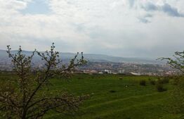 Teren extravilan, Dambul Rotund, 8310 mp 