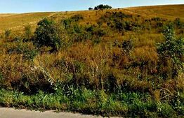 Teren intravilan 6500 mp, situat in cartierul Someseni 