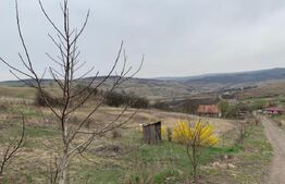 Exclusivitate! Teren intravilan, 2000 mp, zona Hub educational Borhanci Sopor 