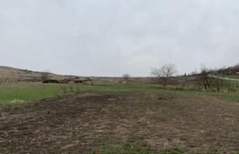 Exclusivitate! Teren intravilan, 2000 mp, zona Hub educational Borhanci Sopor 