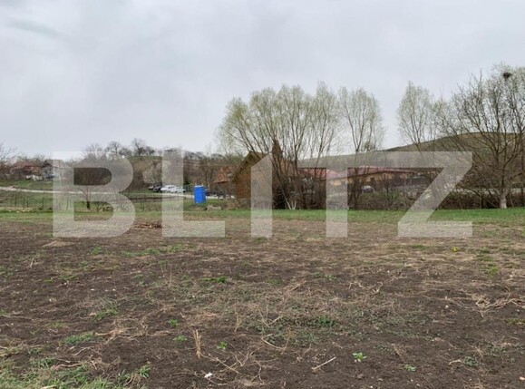 Teren de vânzare Sopor - 147264TV | BLITZ Cluj-Napoca | Poza6