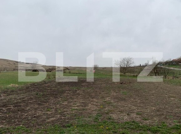 Teren de vânzare Sopor - 147264TV | BLITZ Cluj-Napoca | Poza3