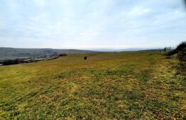 Teren intravilan 4300mp, cu panorama deosebita, Sopor