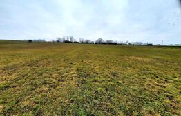 Teren intravilan 4300mp, cu panorama deosebita, Sopor