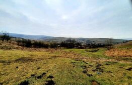 Teren intravilan 4300mp, cu panorama deosebita, Sopor