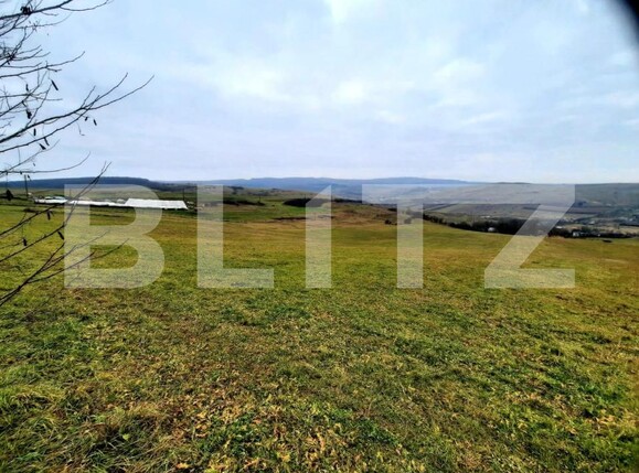 Teren de vânzare Sopor - 147275TV | BLITZ Cluj-Napoca | Poza4