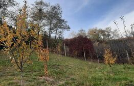 De vanzare casa individuala,135 mp utili, 1553 mp teren