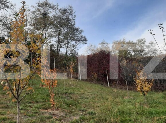 Casa de vânzare 7 camere Cara - 147277CV | BLITZ Cluj-Napoca | Poza12