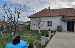 Casa cuplata, 2 camere, Dambu Rotund 