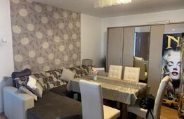 Oportunitate! Casa la cheie+ 2 anexe, 1440 mp teren, Someseni