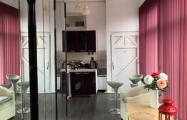 Oportunitate! Casa la cheie+ 2 anexe, 1440 mp teren, Someseni