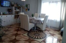 Casa mobilata si utilata, la cheie, Frata