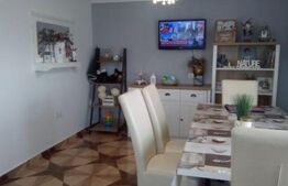 Casa mobilata si utilata, la cheie, Frata