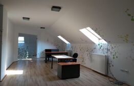 Birouri in vila la Mansarda, 140 mp, zona UMF, Louis Pasteur