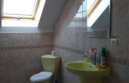 Birouri in vila la Mansarda, 140 mp, zona UMF, Louis Pasteur