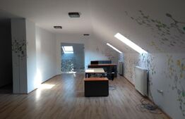 Birouri in vila la Mansarda, 140 mp, zona UMF, Louis Pasteur