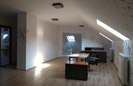 Birouri in vila la Mansarda, 140 mp, zona UMF, Louis Pasteur