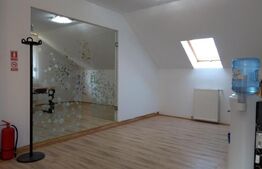 Birouri in vila la Mansarda, 140 mp, zona UMF, Louis Pasteur