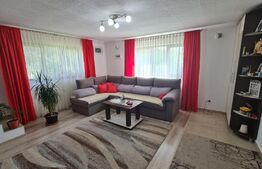 Casa 4 camere, 3400 mp teren, Soimeni 