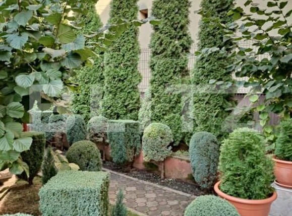 Casa de vânzare 4 camere Marasti - 147365CV | BLITZ Cluj-Napoca | Poza13