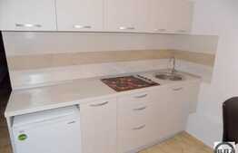 1 camera, 40 mp, totul nou, la prima inchiriere, zona Iulius Mall