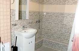 1 camera, 40 mp, totul nou, la prima inchiriere, zona Iulius Mall