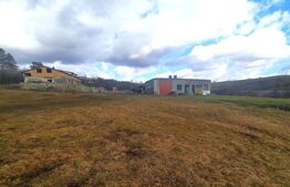 Ferma in intravilanul comunei Cojocna,4,5 Ha cu hale