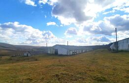 Ferma in intravilanul comunei Cojocna, 5 Ha cu hale