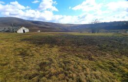 Ferma in intravilanul comunei Cojocna,4,5 Ha cu hale