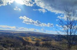 Ferma in intravilanul comunei Cojocna,4,5 Ha cu hale