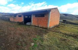 Ferma in intravilanul comunei Cojocna,4,5 Ha cu hale