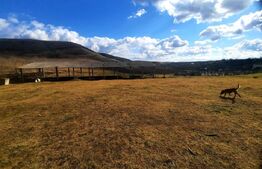 Ferma in intravilanul comunei Cojocna,4,5 Ha cu hale