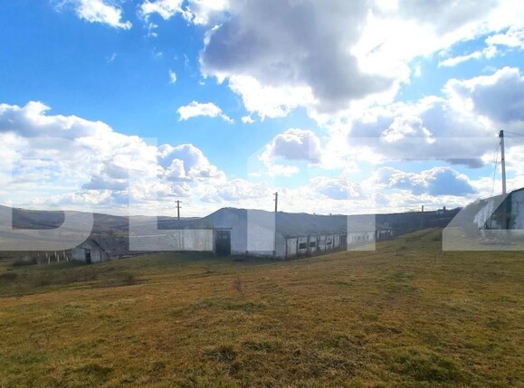 Teren de vânzare Cojocna - 147382TV | BLITZ Cluj-Napoca | Poza2