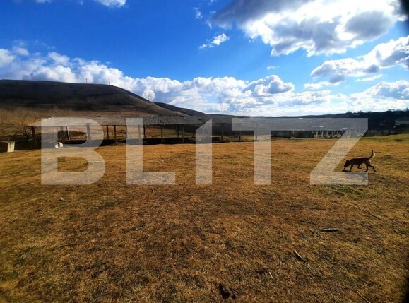 Teren de vânzare Cojocna - 147382TV | BLITZ Cluj-Napoca | Poza7