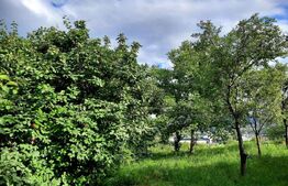 Teren intravilan 1215 mp, situat in zona exclusivista a cartierului Gruia