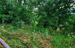 Teren intravilan 1215 mp, situat in zona exclusivista a cartierului Gruia