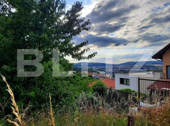 Teren de vânzare Gruia - 147383TV | BLITZ Cluj-Napoca | Poza3