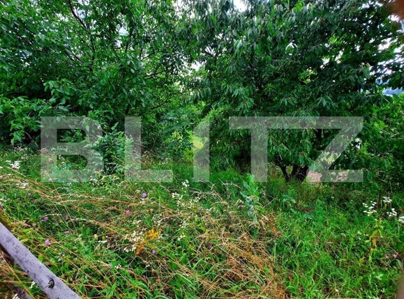 Teren de vânzare Gruia - 147383TV | BLITZ Cluj-Napoca | Poza4