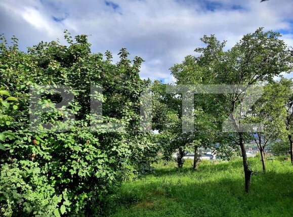 Teren de vânzare Gruia - 147383TV | BLITZ Cluj-Napoca | Poza1