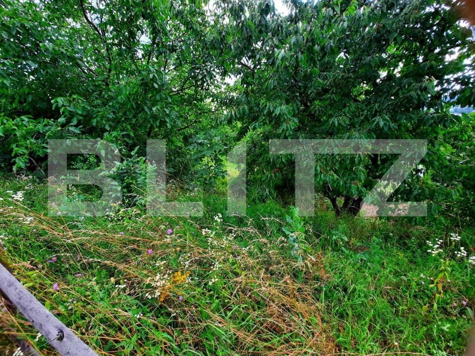 Teren de vânzare Gruia - 147383TV | BLITZ Cluj-Napoca | Poza4