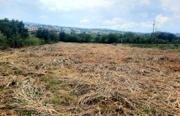 Reducere de pret!Teren intravilan, suprafata de 2506 mp, incadrare UM4, Borhanci