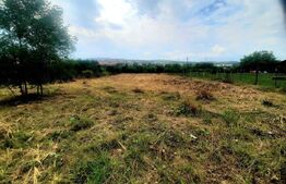 Reducere de pret!Teren intravilan, suprafata de 2506 mp, incadrare UM4, Borhanci