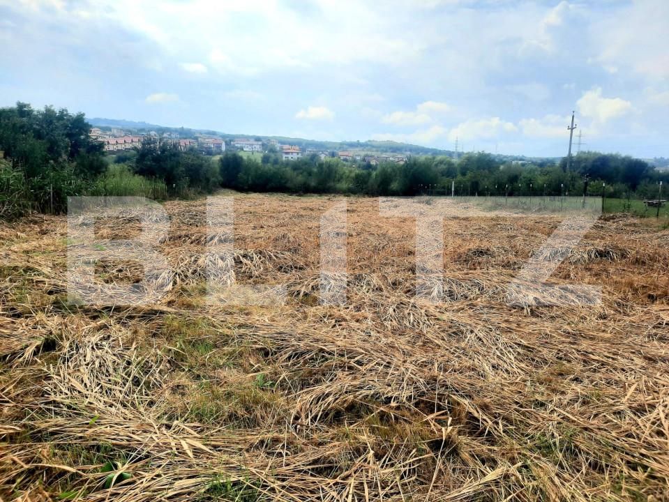 Teren de vânzare Borhanci - 147385TV | BLITZ Cluj-Napoca | Poza6