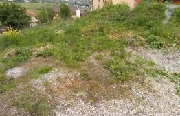 Oportunitate! Teren intravilan Borhanci, 1050 mp, zona Calea Borhanciului!