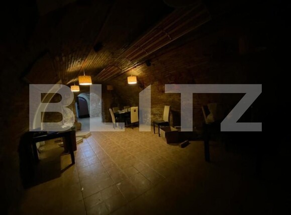 Spațiu comercial de închiriat Central - 147462SIC | BLITZ Cluj-Napoca | Poza7