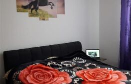 Casa individuala, 200 mp, 800 mp teren, Baciu