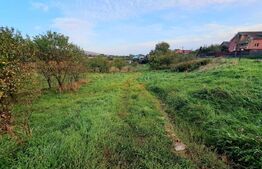 Teren extravilan, 1410 mp, situat pe Valea Chintaului 